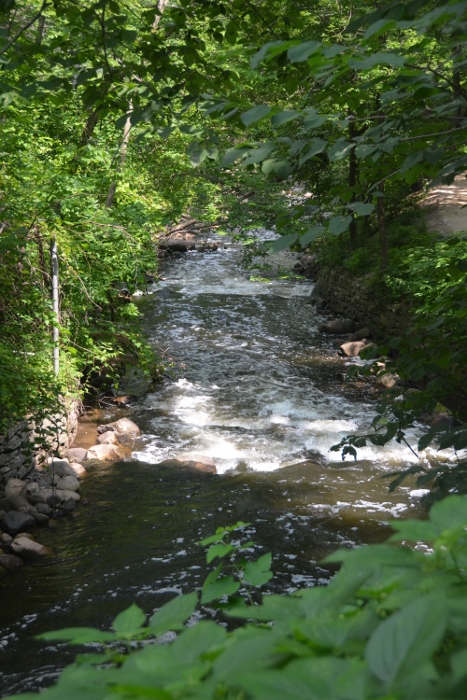 Minnehaha Creek